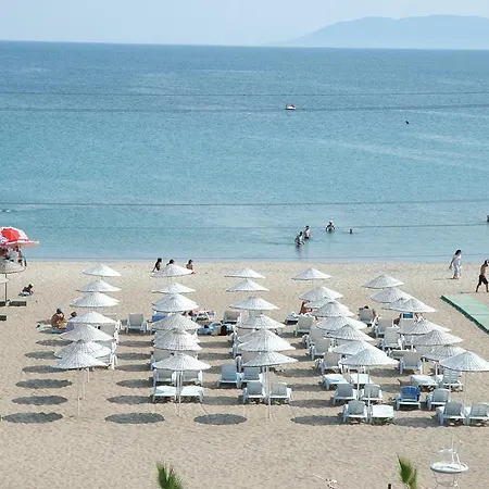 Mare 3*